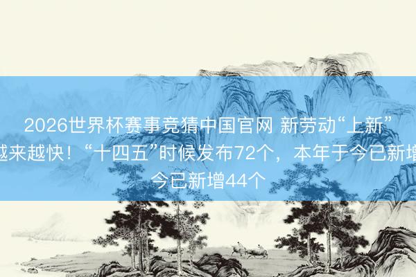 2026世界杯赛事竞猜中国官网 新劳动“上新”速率越来越快！“十四五”时候发布72个，本年于今已新增44个