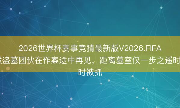 2026世界杯赛事竞猜最新版V2026.FIFA 两拨盗墓团伙在作案途中再见，距离墓室仅一步之遥时被抓