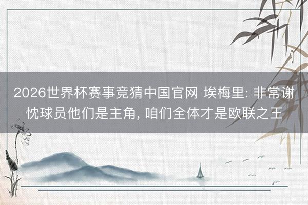 2026世界杯赛事竞猜中国官网 埃梅里: 非常谢忱球员他们是主角， 咱们全体才是欧联之王