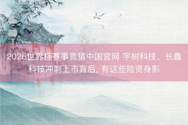 2026世界杯赛事竞猜中国官网 宇树科技、长鑫科技冲刺上市背后， 有这些险资身影