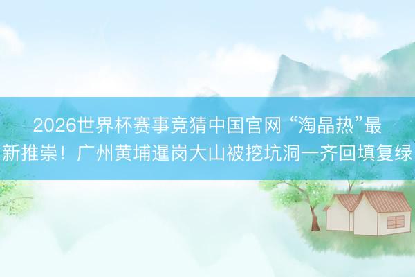 2026世界杯赛事竞猜中国官网 “淘晶热”最新推崇!广州黄埔暹岗大山被挖坑洞一齐回填复绿