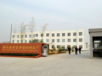 潜山县全友异型刷制品厂 – 
