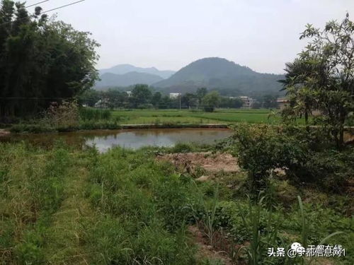 方志于都 于都县仙下乡吉溪赋