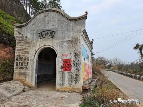 方志于都 新陂乡移陂潭碑刻的历史与文化探析