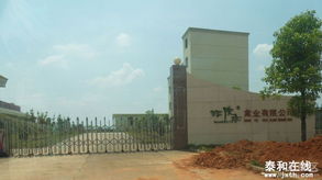 正在崛起中的产业高地 走进泰和县工业园与于都县发展新貌