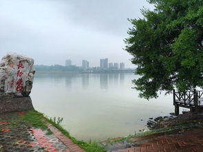 于都新长征 江西老区奋力脱贫，多路径突围奔小康